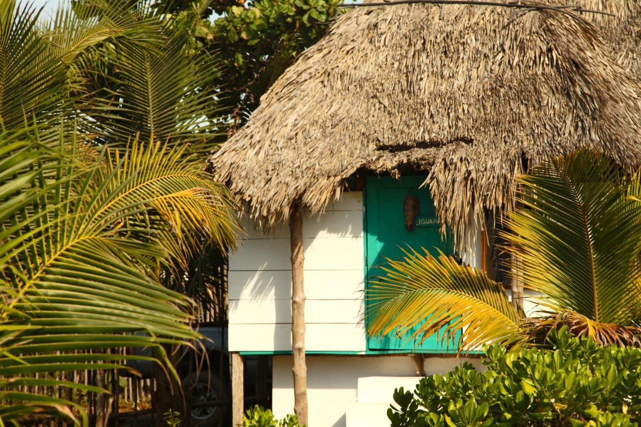 Cocori Lodge Paredon Эль-Паредон-Буэна-Виста Экстерьер фото