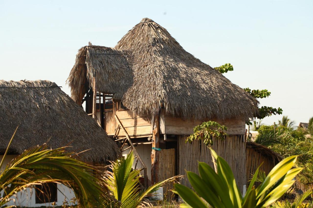 Cocori Lodge Paredon Эль-Паредон-Буэна-Виста Экстерьер фото