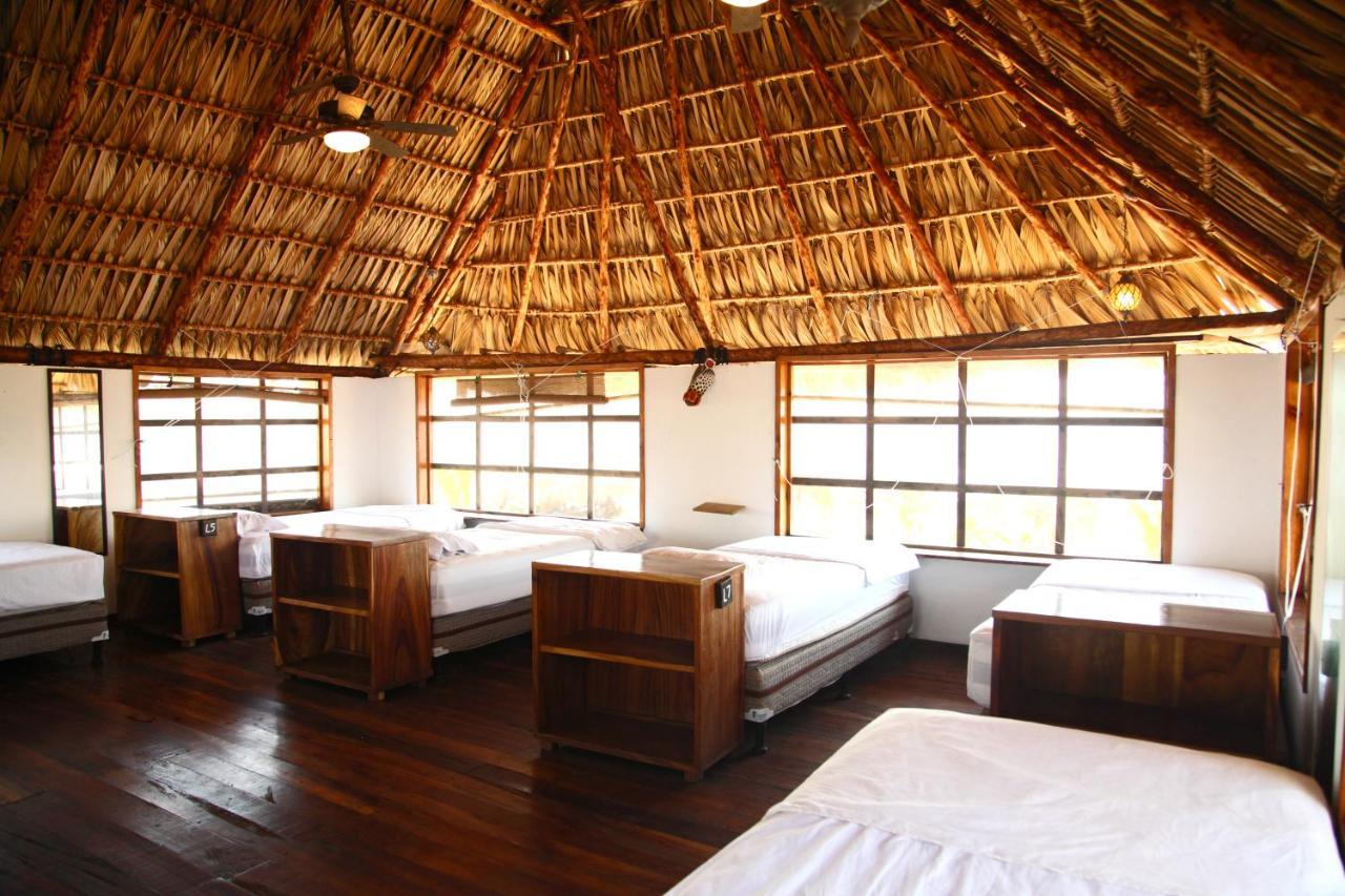 Cocori Lodge Paredon Эль-Паредон-Буэна-Виста Экстерьер фото